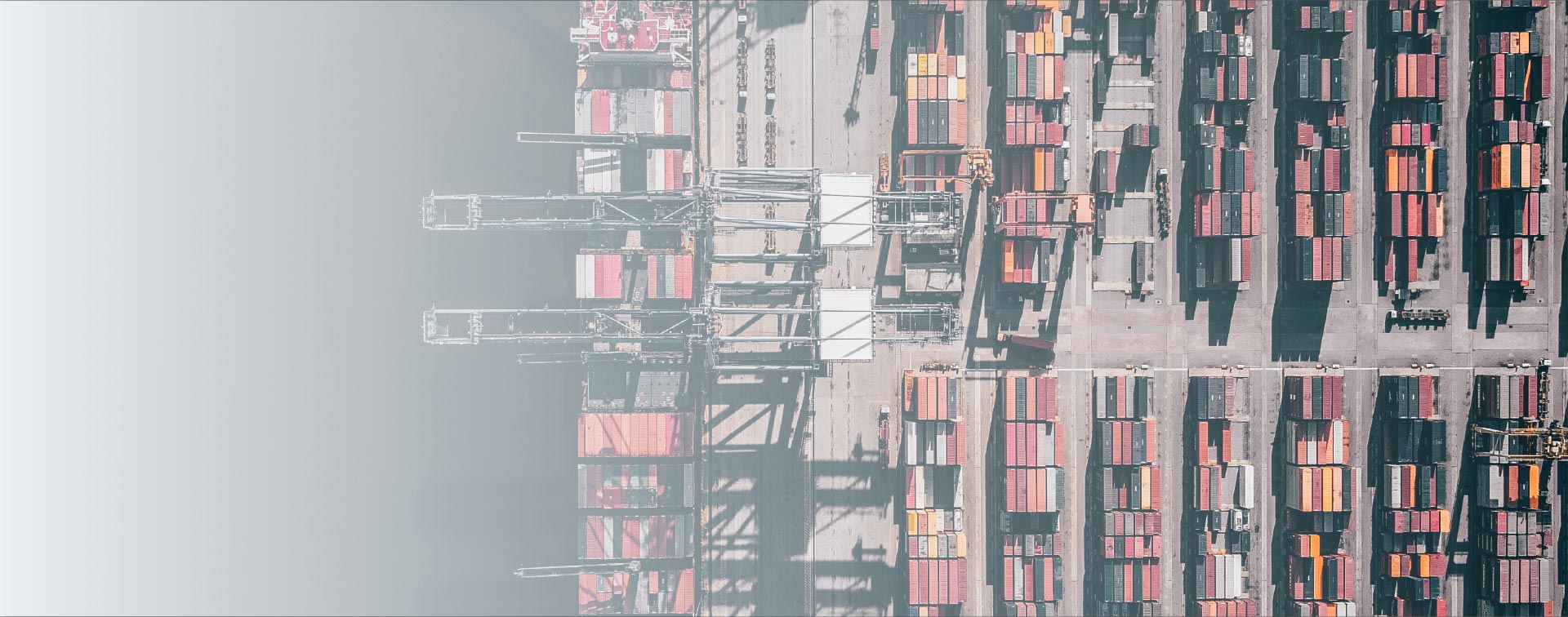 FISCAL REPRESENTATION